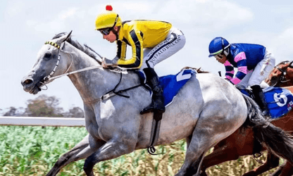 Unconquerable Lady